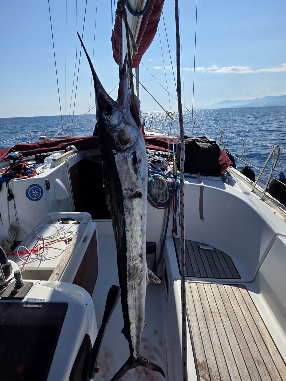 Pesca alla traina costa azzurra barca a vela